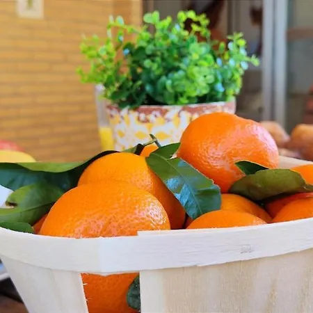 Puerto Marino By Costa Dénia